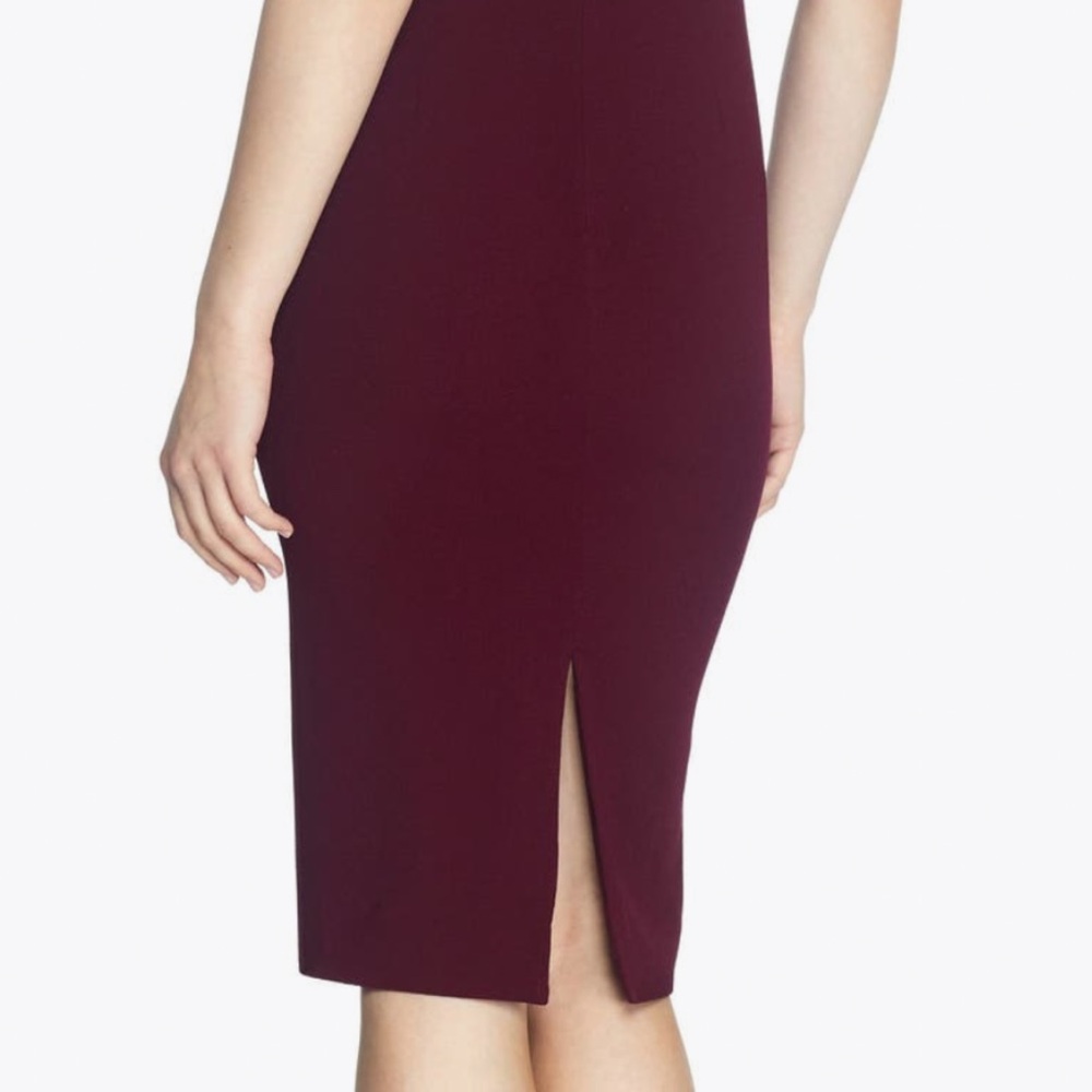 Dress the Population Burgundy Dress